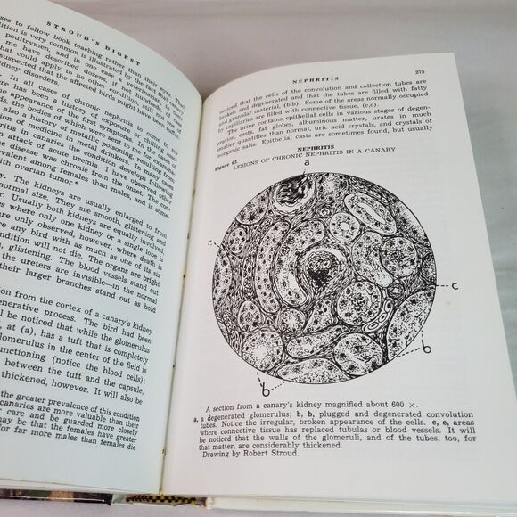 Stroud's Digest on the Diseases of Birds - Hardcover, by Robert Stroud - Picture 4 of 13